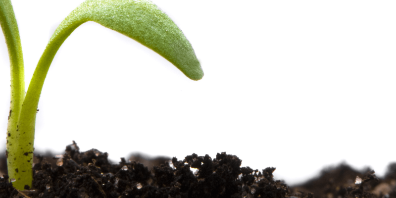 5 Ways to Cultivate Customer Delight