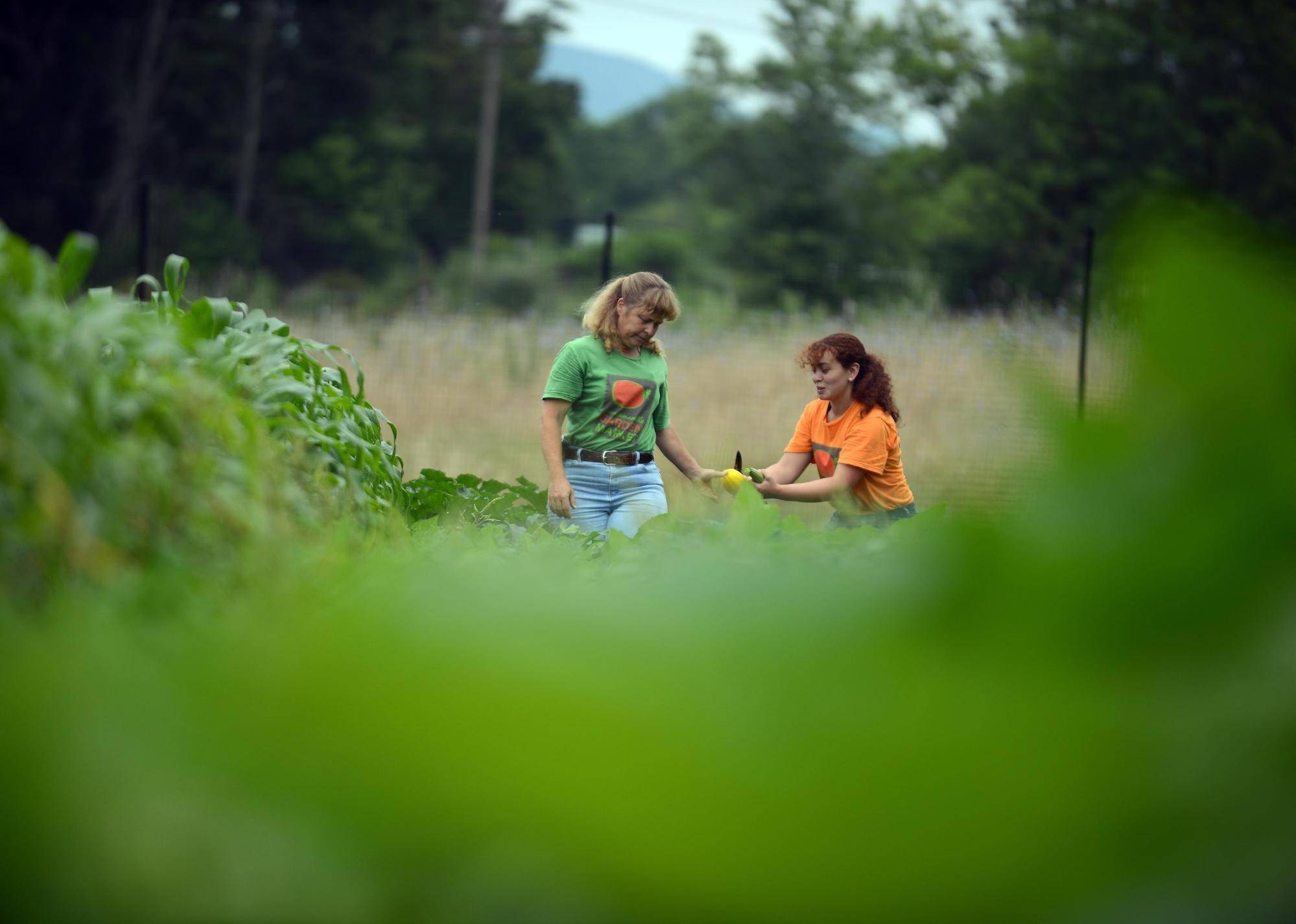 3 most common SBA loans: two people in a field